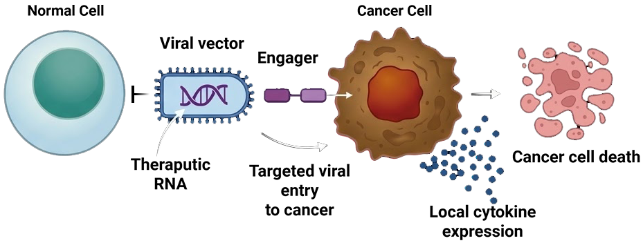 Virobix VSV-based oncolytic virus platform